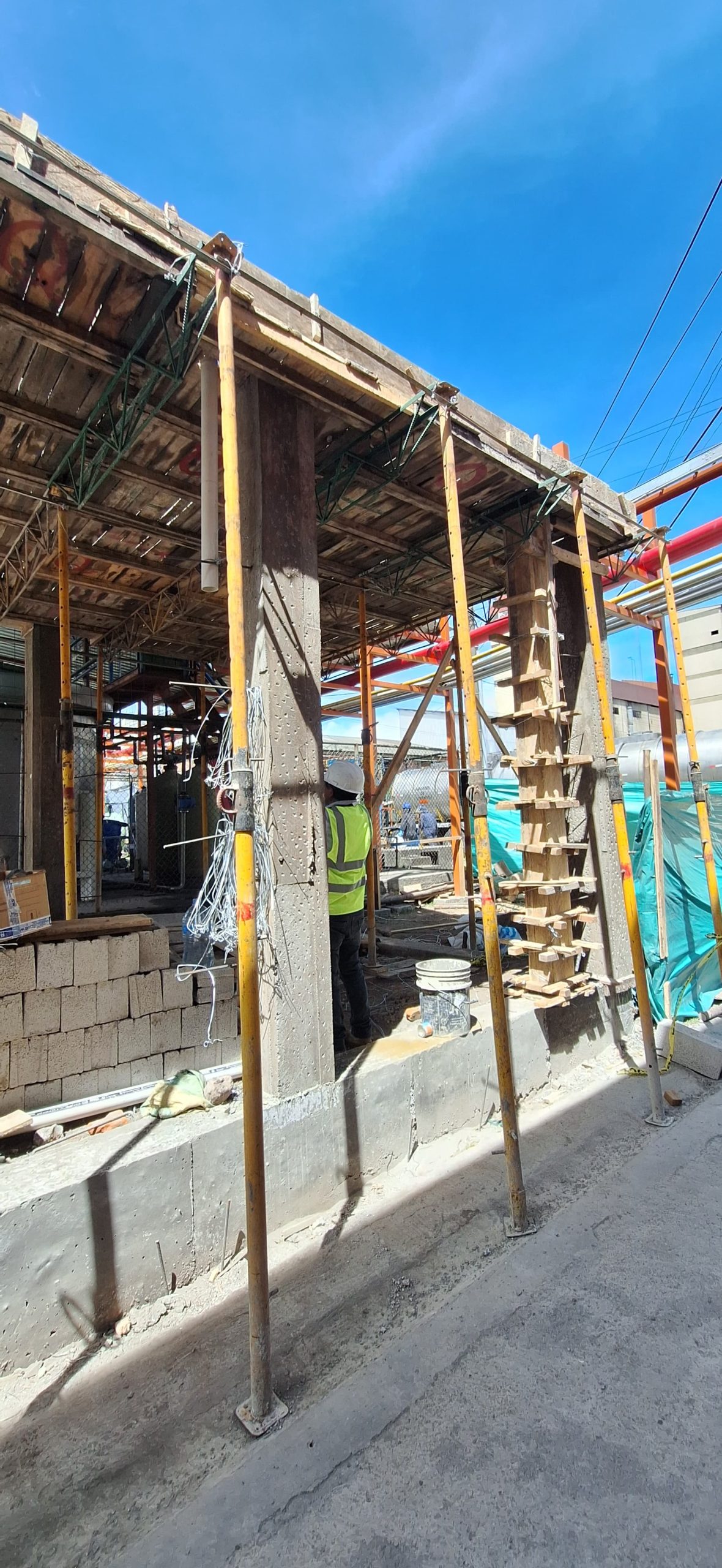 WhatsApp Image 2024-08-19 at 14.55.13