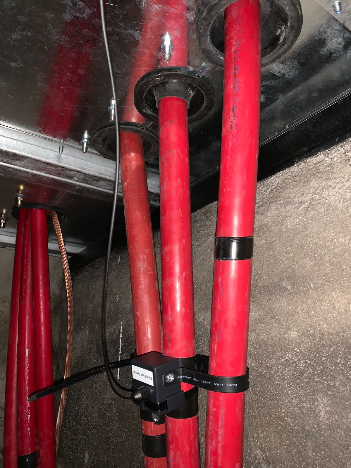 WhatsApp Image 2024-09-22 at 6.16.46 PM