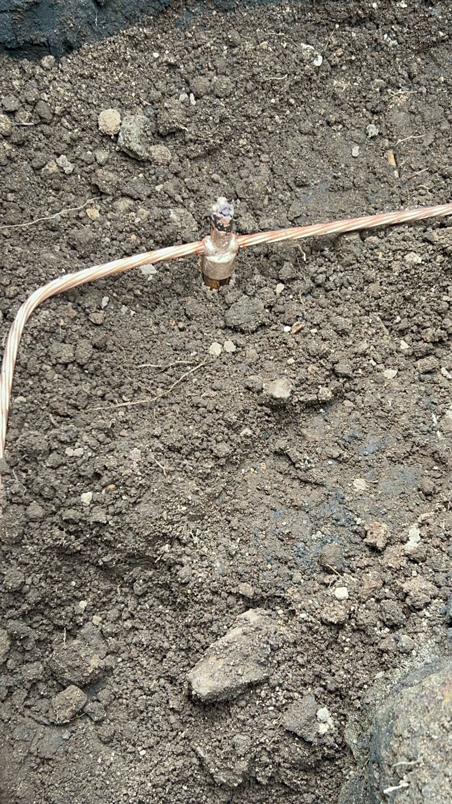 WhatsApp Image 2025-05-14 at 12.12.14 PM (2)