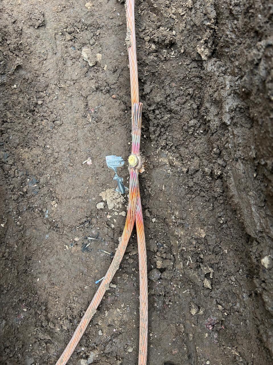 WhatsApp Image 2025-05-20 at 15.47.40 (1)